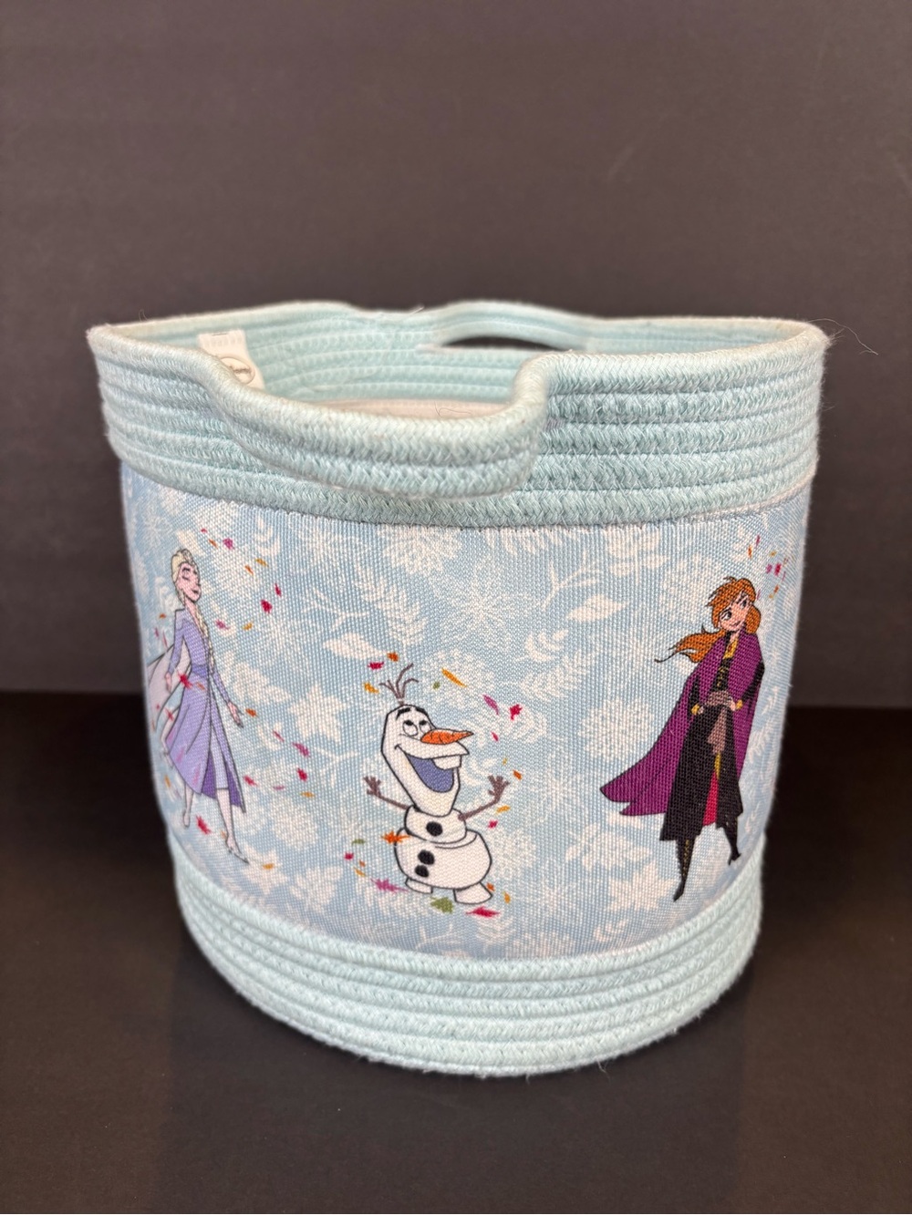 Official Disney Frozen Woven Rope Storage Basket Bin by Idea Nuova